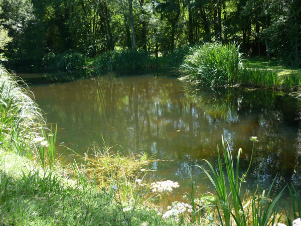 Petit lac d'agrément